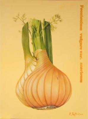 Foeniculum - Kathrin Felske-Preuß - Array auf Array - Array - Foeniculum - Kathrin Felske-Preuß - Array auf Array - Array -