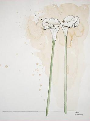 Zwei Calla - Scharvogel - Array auf Array - Array - Zwei Calla - Scharvogel - Array auf Array - Array -