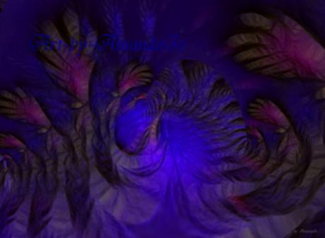 Labyrinth No-13 - AmandaJo - auf - Array - Labyrinth No-13 - AmandaJo - auf - Array -