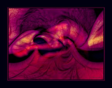 Roots No-2 - AmandaJo - auf - Array - Roots No-2 - AmandaJo - auf - Array -