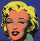 Monroe - Ulli_Hoyer - Acryl auf Leinwand - Sonstiges - Monroe - Ulli_Hoyer - Acryl auf Leinwand - Sonstiges -