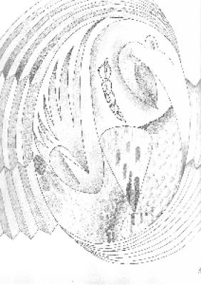 Vogel Rotation - M.K. - auf Array - Array - Vogel Rotation - M.K. - auf Array - Array -