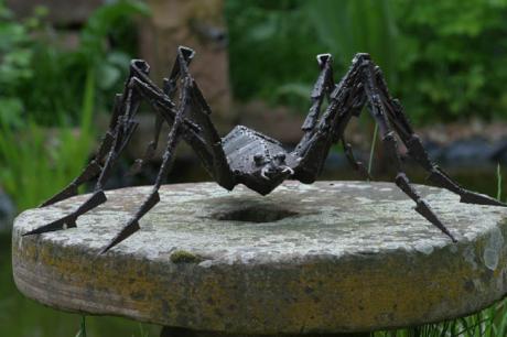 Spinne - Fahnder - auf Array - Array - Spinne - Fahnder - auf Array - Array -