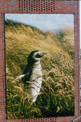 Gute Aussichten, Fotografie auf Plane - Ute Kühn - auf - Array - Gute Aussichten, Fotografie auf Plane - Ute Kühn - auf - Array -