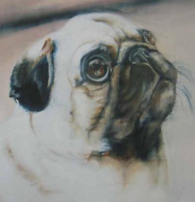 Mops - Nalin - Array auf Array - Array - Mops - Nalin - Array auf Array - Array -