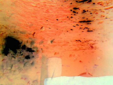 Underwater - Maximillian van da Meer - auf - Array - Underwater - Maximillian van da Meer - auf - Array -