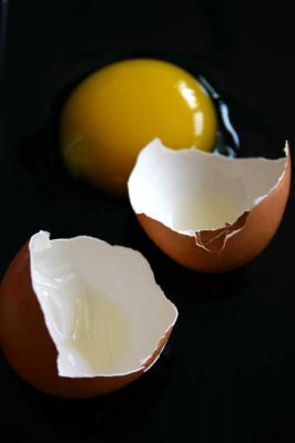 Das Ei, mal ganz groß - Maria grafikecetera - auf - Array - Das Ei, mal ganz groß - Maria grafikecetera - auf - Array -