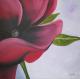 Blüte Magenta 2 Blüte Magenta 2