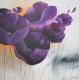 Lila Mohn Lila Mohn