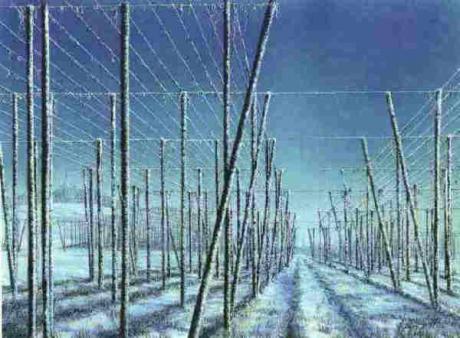 Hopfengarten Winter -Angerer der Ältere- - . Angerer der Ältere - Array auf Array - Array - 