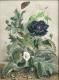 Bauernmohn (2002) Christine Becker Bauernmohn (2002) Christine Becker