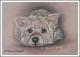 Westie  -Pudel - Mix JENNY - Karin Schnabl - Pastell auf  - Sonstiges - 