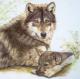 LIEGENDER WOLF mit WELPE - Karin Schnabl - Pastell auf  - Sonstiges - 