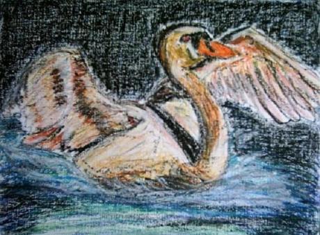 Vogel 1 Schwan - Peter Mach - auf - Array - Vogel 1 Schwan - Peter Mach - auf - Array -