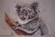 Koala (1995) Janette Herlinger - Janette Herlinger - Pastell-Kohle auf  - Sonstiges - 