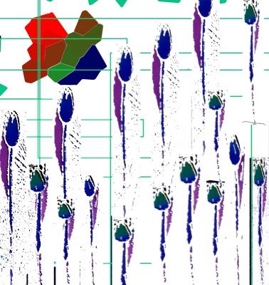 artTulpen (2010) - Peter Norden - Array auf  - Array - 