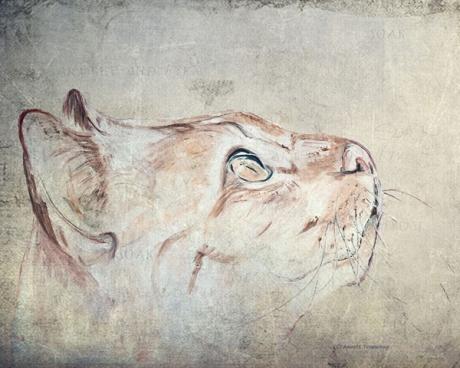 Cats Moments 1 - Annett Tropschug - Array auf Array - Array - Array Cats Moments 1 - Annett Tropschug - Array auf Array - Array - Array