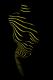 lines - Oliver Plath -  auf  - weiblich - 