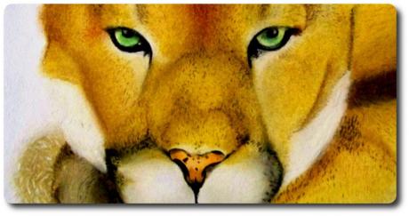 TierART Puma - Askara Jinn - Array auf - Array - TierART Puma - Askara Jinn - Array auf - Array -