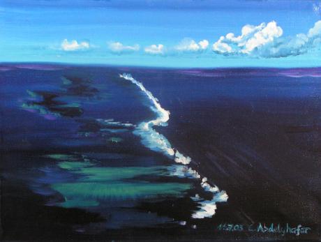 Korallenriff - Claudia Lüthi - Array auf Array - Array - Array Korallenriff - Claudia Lüthi - Array auf Array - Array - Array