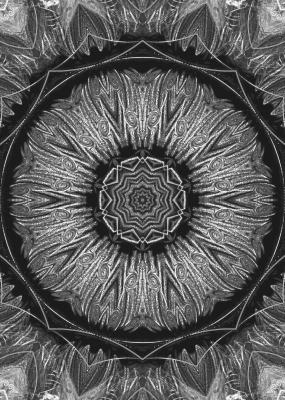 Wunschbrunnen - Susann Mueller - Array auf  - Array - 