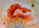 Mohnblumen 2 - Monika Messerschmidt - Acryl auf Holz - Mohn - Klassisch