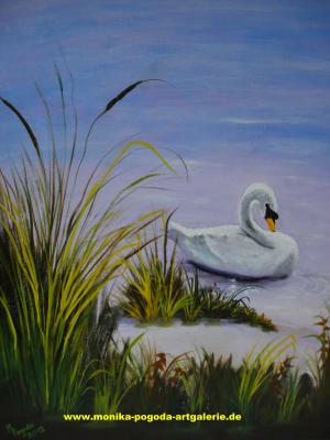 SCHWAN - Monika Pogoda - Array auf Array - Array - Array SCHWAN - Monika Pogoda - Array auf Array - Array - Array