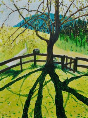 Kirschbaum im Frühling - Peter Traxler - Array auf Array - - Array Kirschbaum im Frühling - Peter Traxler - Array auf Array - - Array