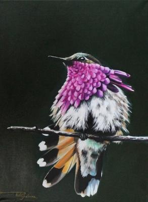 Bird 1 - Rebecca Tecla - Array auf - Array - Bird 1 - Rebecca Tecla - Array auf - Array -