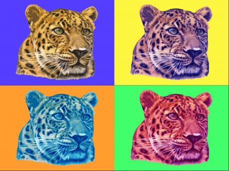 PopArt Leopard - Nicole Zeug - Array auf - Array - PopArt Leopard - Nicole Zeug - Array auf - Array -