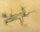 surrealer Baum I - Michael Haack - Bleistift auf  - Sonstiges - 