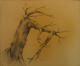 surrealer Baum II  - Michael Haack - Bleistift auf  - Sonstiges - 