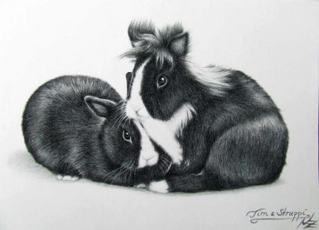 Kaninchen - Nicole Zeug - auf - Array - Kaninchen - Nicole Zeug - auf - Array -