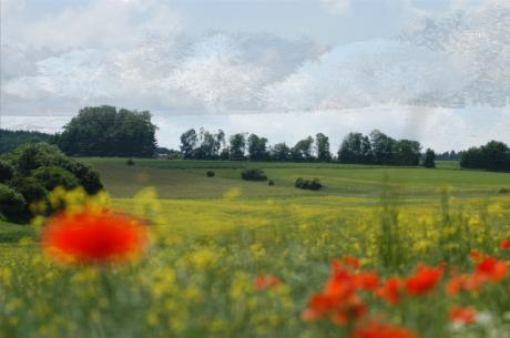 Ein Standpunkt, zwei Ansichten - Arno Schmitt -  auf  - Array - 
