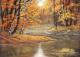 Herbst am Fluss--- - Jacqueline Scheib -  auf  -  - 