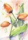 Tulpen 02 - Karin Liste - Aquarell auf  - Botanik - 