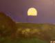 Mondlicht - Helene + Mario Wohlfahrt - Acryl auf Leinwand - Landschaft - Klassisch